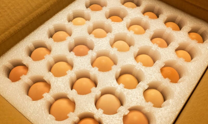 Shipped Hatching Eggs