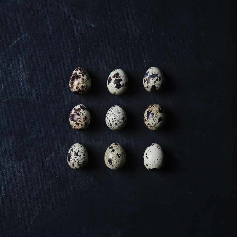 Why sell hatching eggs?