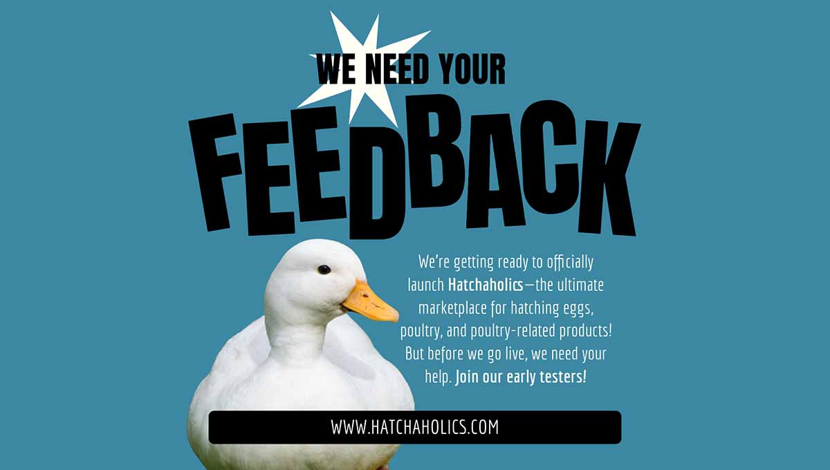 Hatchaholics Beta Test Blog