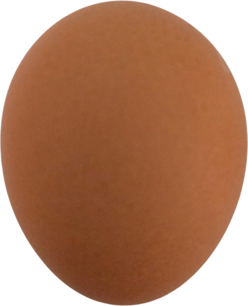 An example of a good egg for hatching.
