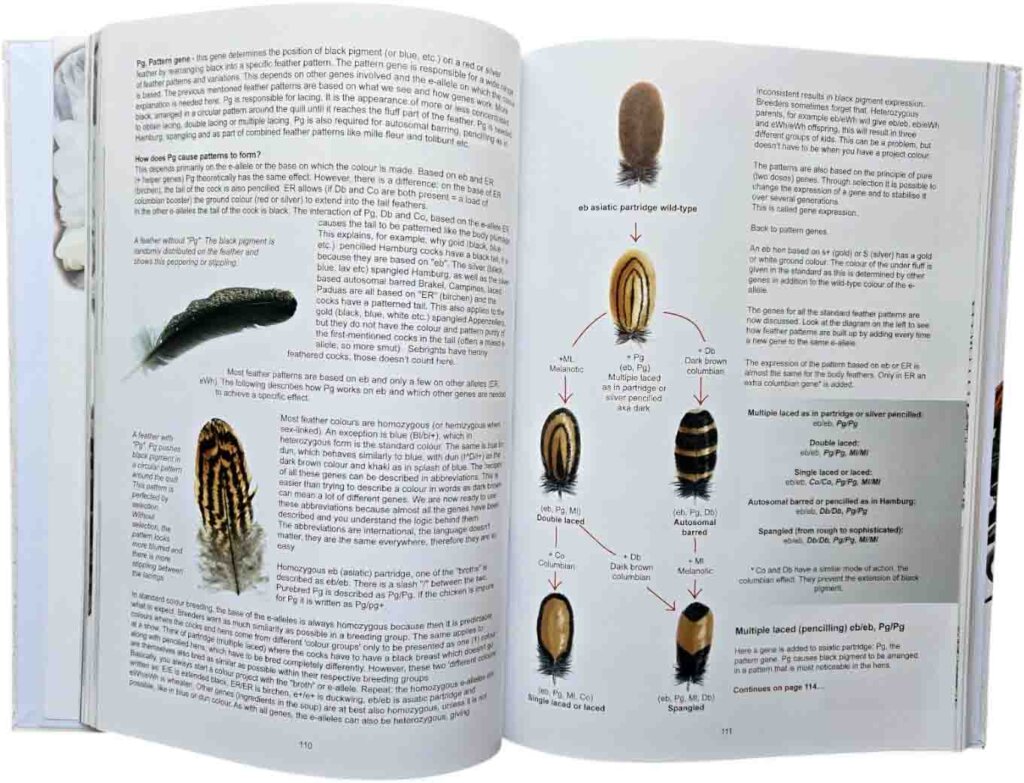 The Genetics of Chickens Extended Edition