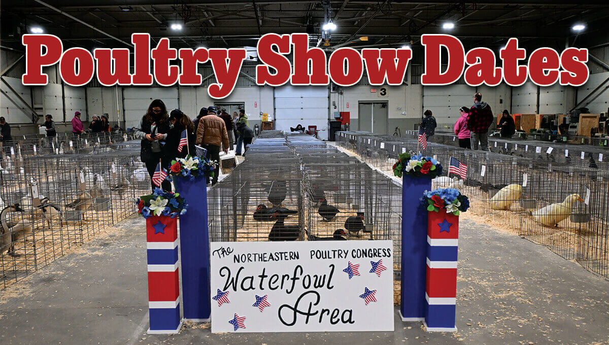 Poultry Show Dates