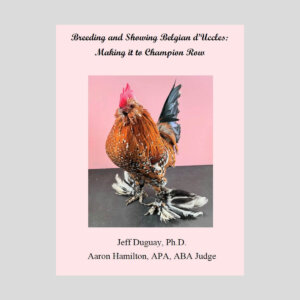 Breeding and Showing Belgian d’Uccles: Making it to Champion Row | Jeff Duguay & Aaron Hamilton – Clucker Books