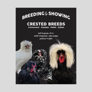 Breeding and Showing Crested Breeds: Crevecoeur, Houdan, Polish & Sultan | Jeff Duguay – Clucker Books