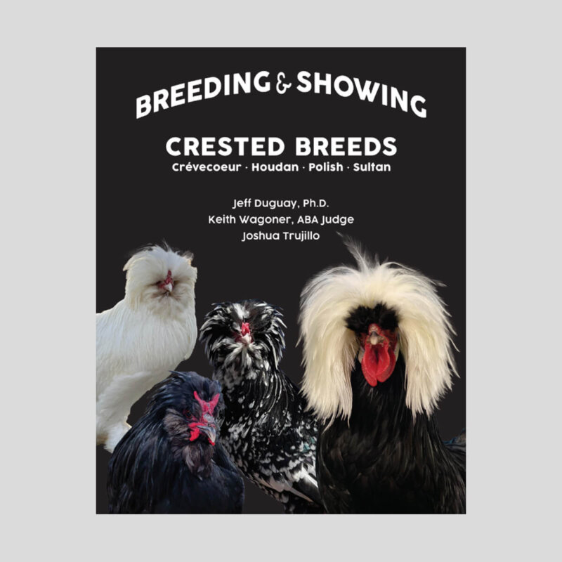 Breeding and Showing Crested Breeds: Crevecoeur, Houdan, Polish & Sultan | Jeff Duguay – Clucker Books