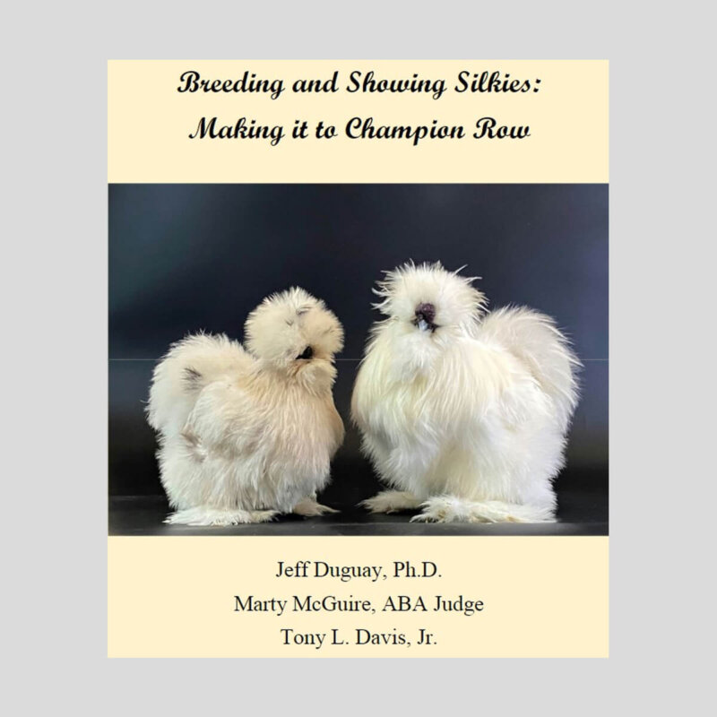 Breeding and Showing Silkies: Making it to Champion Row