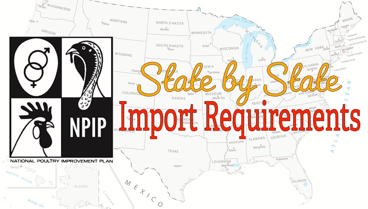 Shipping Hatching Eggs