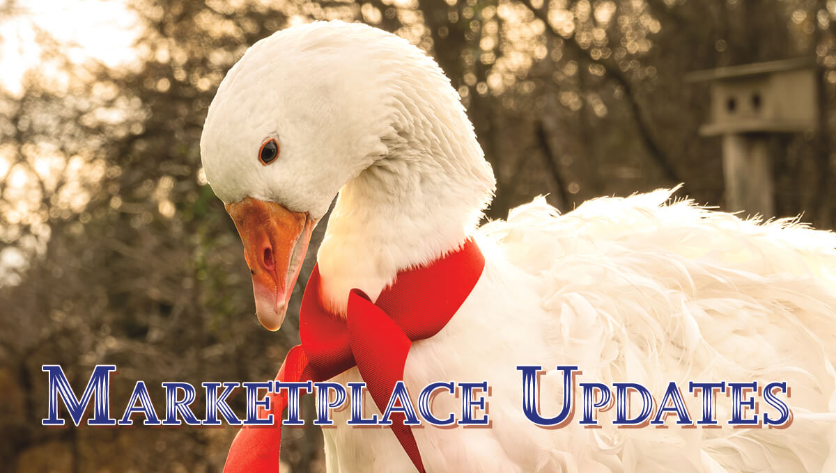 Holiday Sebastapol Hatchaholics