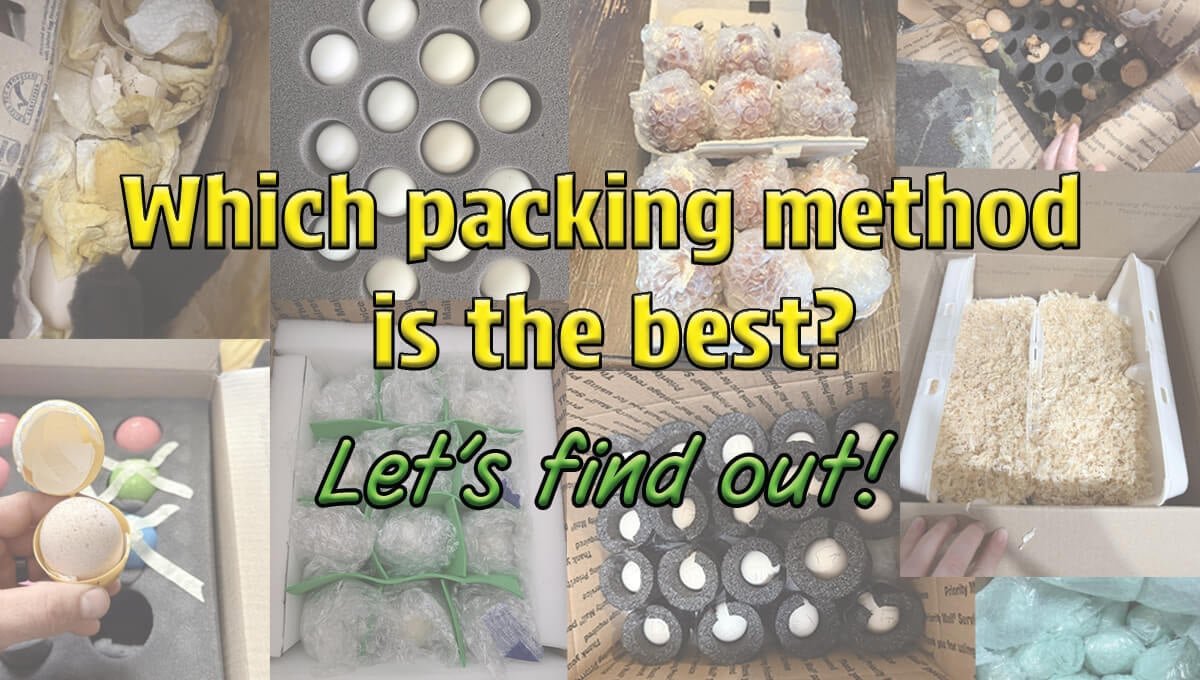 Shipped Hatching Egg Fillable Form