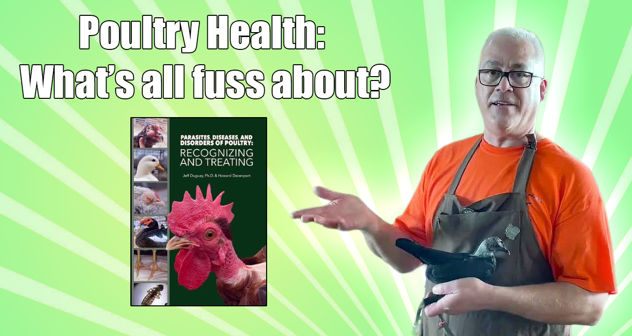 Poultry Health